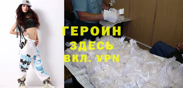 гидра Гатчина