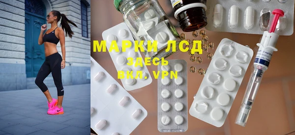 гидра Гатчина